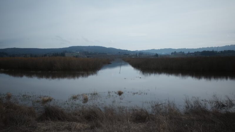 Wapato Lake National Wildlife Refuge - Gaston, OR