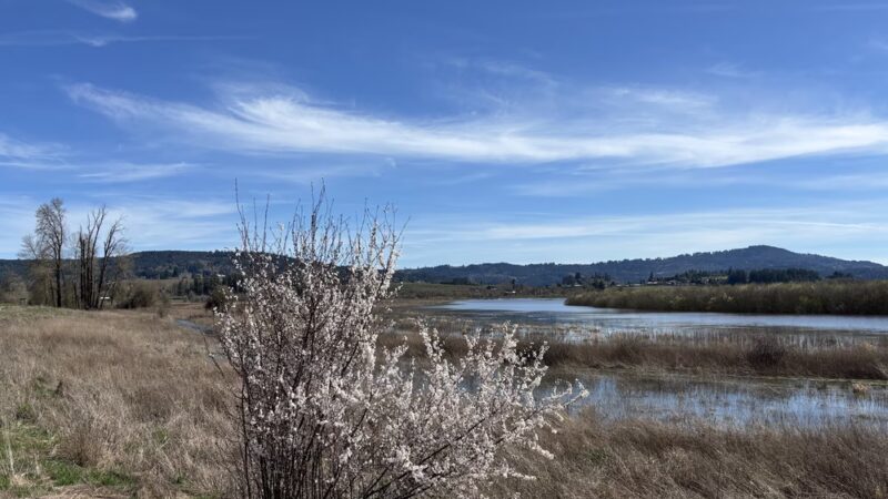Wapato Lake National Wildlife Refuge - Gaston, OR