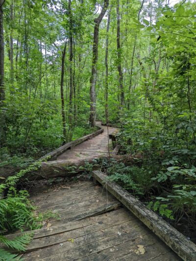 Gatesville Creekside Park - Gatesville, NC