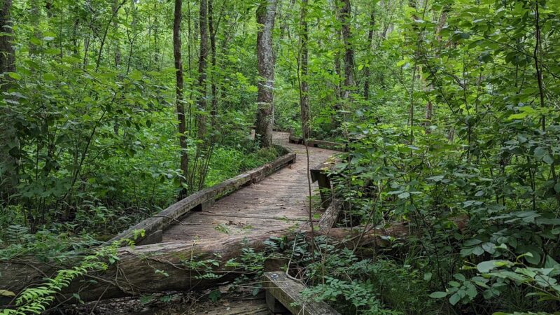 Gatesville Creekside Park - Gatesville, NC