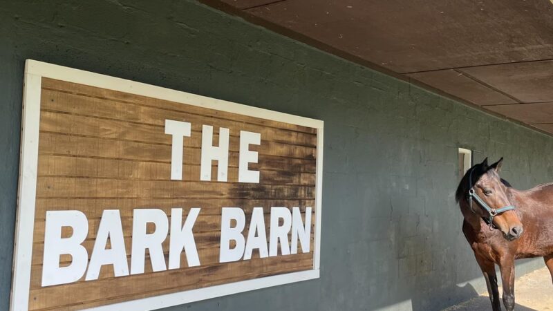 The bark barn - Gauley Bridge, WV