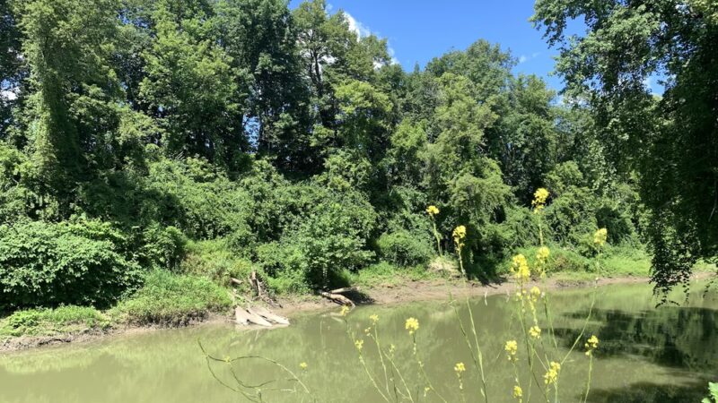 Geneseo River Access Park - Geneseo, NY