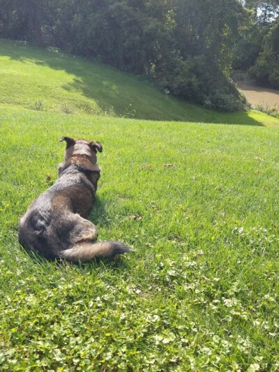 Geneseo River Access Park - Geneseo, NY