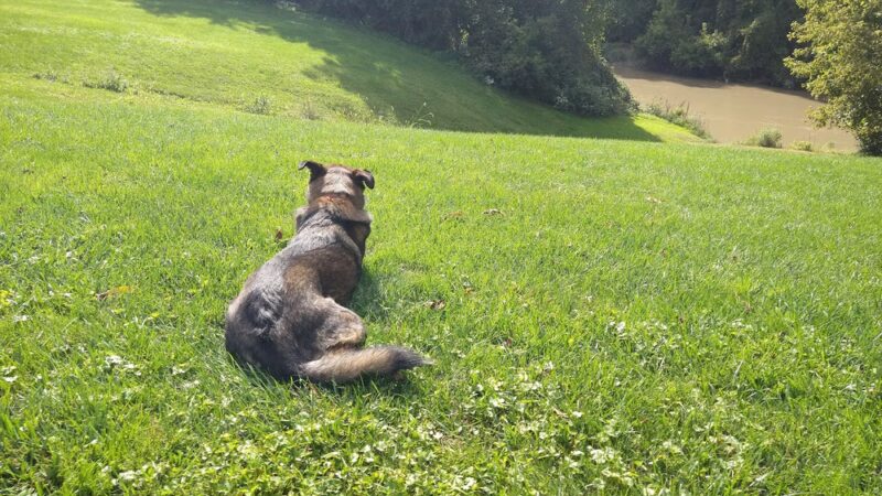 Geneseo River Access Park - Geneseo, NY