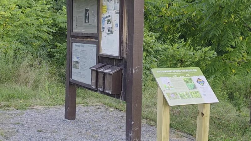 Indian Fort Nature Preserve - Geneseo, NY