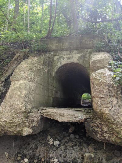 Indian Fort Nature Preserve - Geneseo, NY