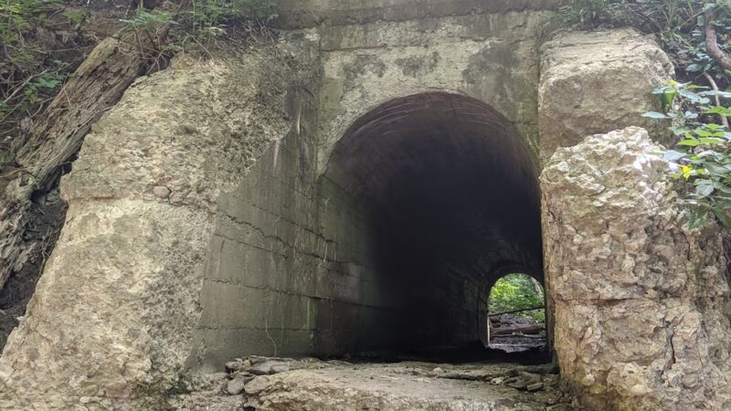 Indian Fort Nature Preserve - Geneseo, NY