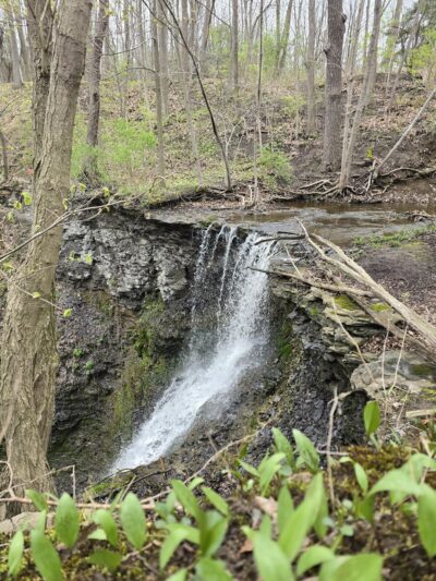 Indian Fort Nature Preserve - Geneseo, NY