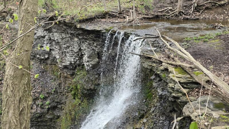Indian Fort Nature Preserve - Geneseo, NY