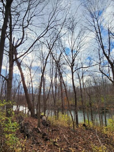 Indian Fort Nature Preserve - Geneseo, NY