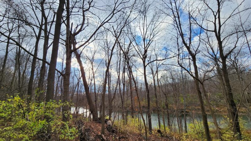 Indian Fort Nature Preserve - Geneseo, NY