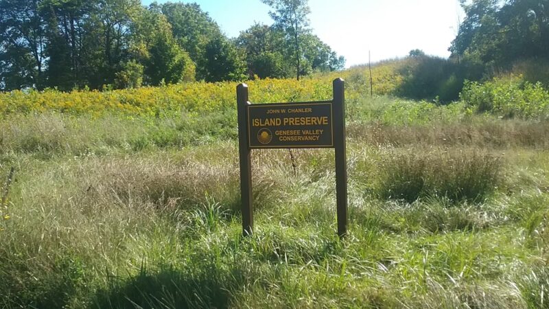 Island Preserve - Geneseo, NY
