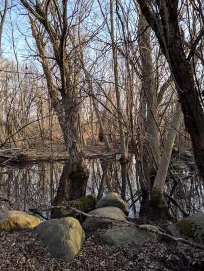 Island Preserve - Geneseo, NY