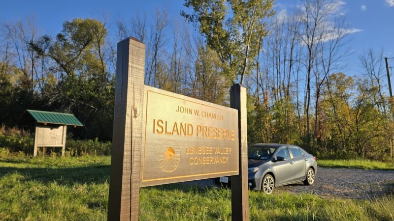 Island Preserve - Geneseo, NY