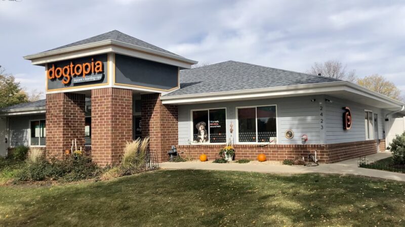 Dogtopia Geneva - Geneva, IL