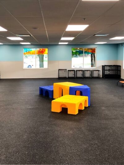 Dogtopia Geneva - Geneva, IL