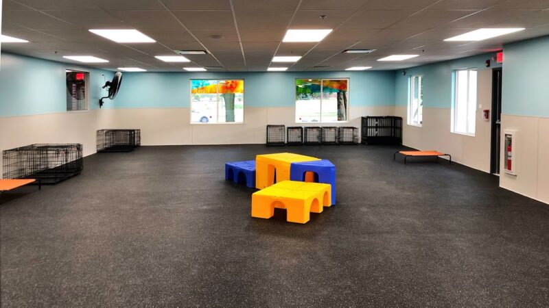 Dogtopia Geneva - Geneva, IL