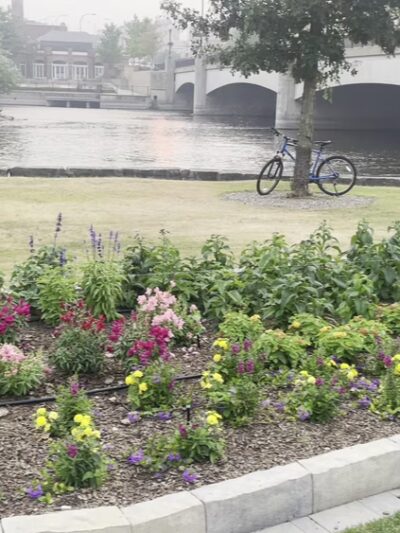 Island Park - Geneva, IL