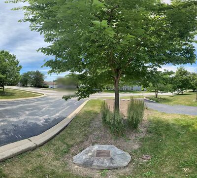 Lions Park - Geneva, IL