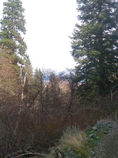Genoa Town Park - Genoa, NV