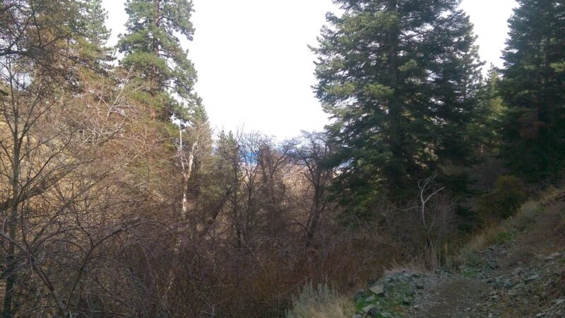 Genoa Town Park - Genoa, NV