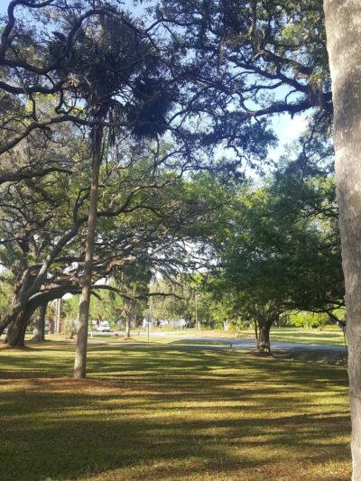 Georgetown Marina, Lodge & Rv Park - Georgetown, FL