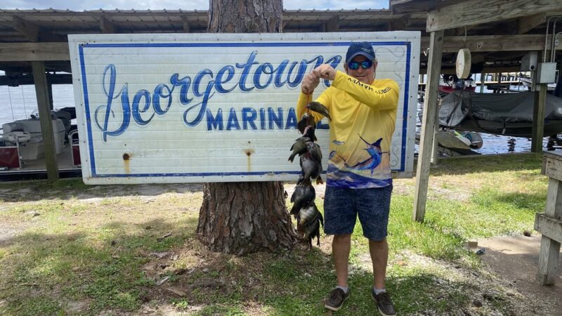 Georgetown Marina, Lodge & Rv Park - Georgetown, FL