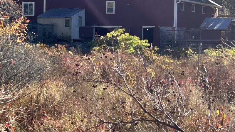 Georgetown Rail Trail - Georgetown, MA
