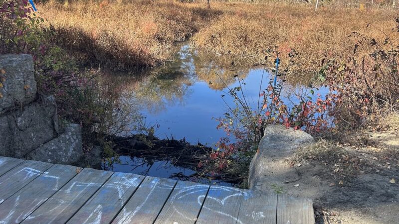 Georgetown Rail Trail - Georgetown, MA