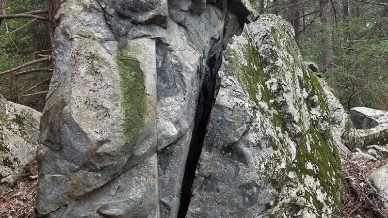 Georgetown-Rowley State Forest - Georgetown, MA