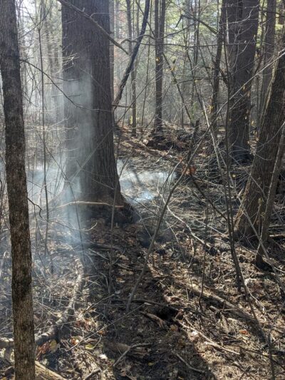 Georgetown-Rowley State Forest - Georgetown, MA