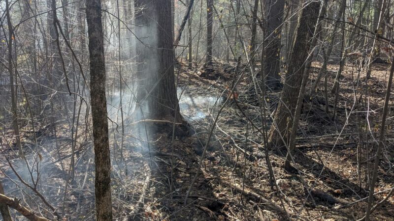 Georgetown-Rowley State Forest - Georgetown, MA