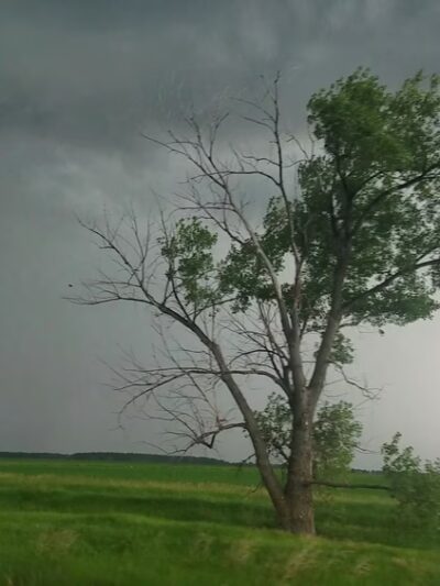 Georgetown - Georgetown, MN