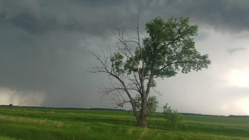 Georgetown - Georgetown, MN