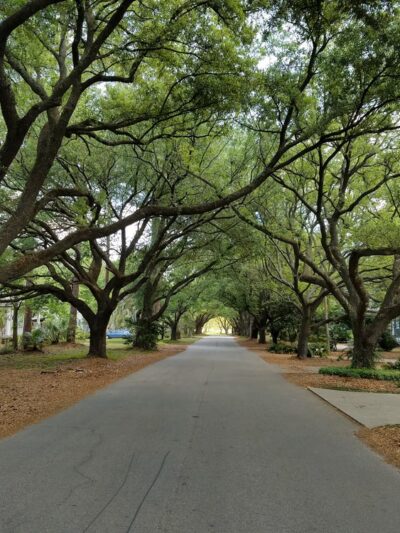East Bay Park - Georgetown, SC