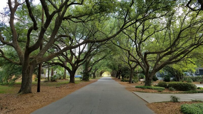 East Bay Park - Georgetown, SC