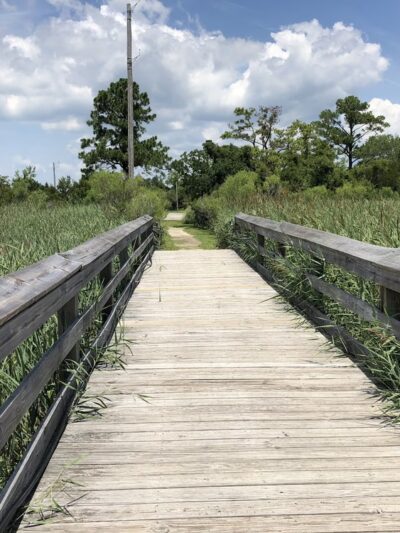 Morgan Park - Georgetown, SC