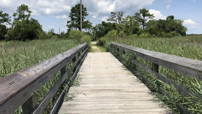 Morgan Park - Georgetown, SC