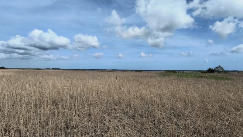 Morgan Park - Georgetown, SC