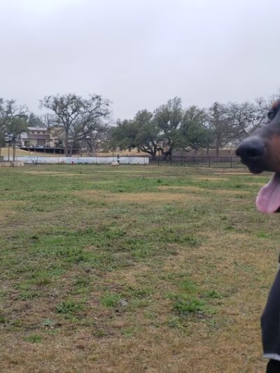 MorningStar Dog Park - Georgetown, TX