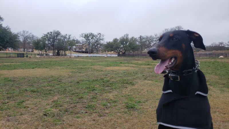 MorningStar Dog Park - Georgetown, TX