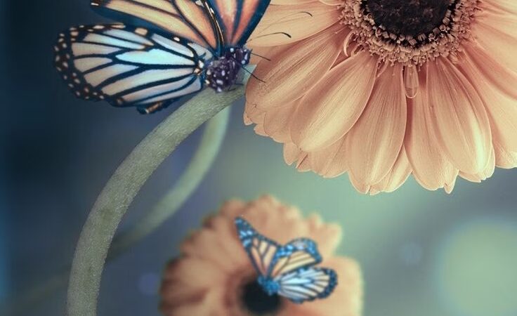 Legion Park - Gerald, MO