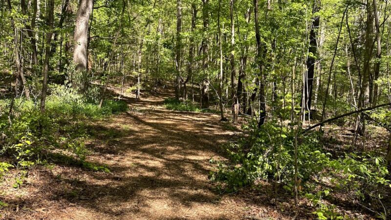 Horizons Park - Germanton, NC