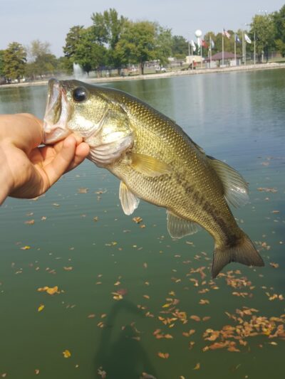 Lake Park - Germantown, IL