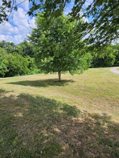 Germantown Park - Germantown, KY