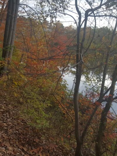 Crystal Rock Trail - Germantown, MD