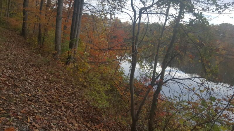 Crystal Rock Trail - Germantown, MD