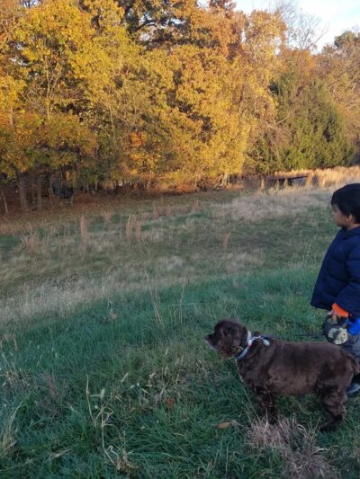 Deer Lookout - Germantown, MD