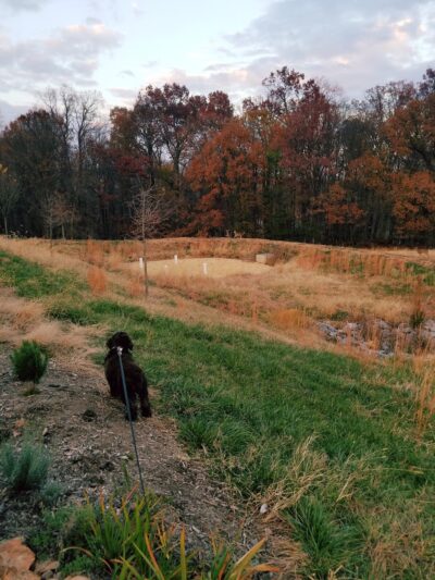 Deer Lookout - Germantown, MD