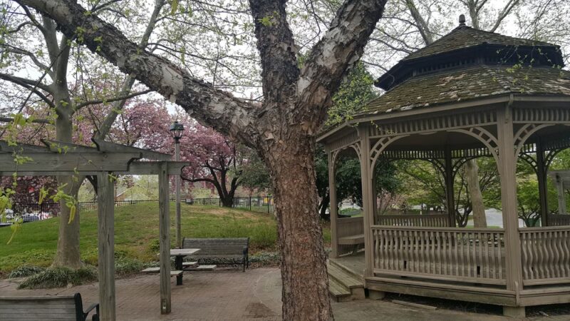 Germantown Square Urban Park - Germantown, MD